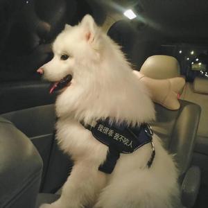 暗呦丨小u女国产精品
